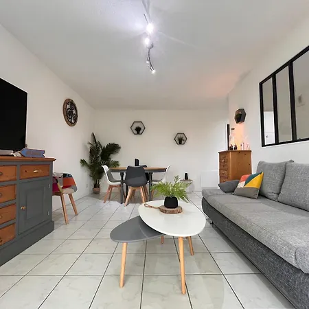 Avec Terrasse Et Piscine, Proche D'erromardie, Jean De Luz - Fr-1-239-932 Apartment *